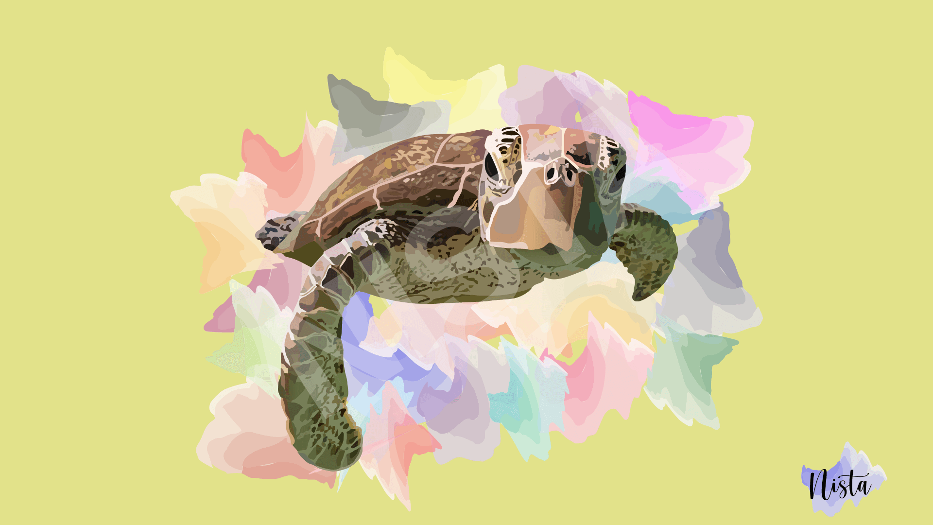 Vector illustration of a sea turtle from a frontal view.