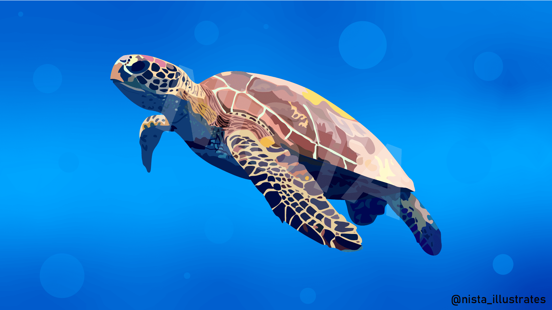 Vector illustration of a sea turtle swimming.