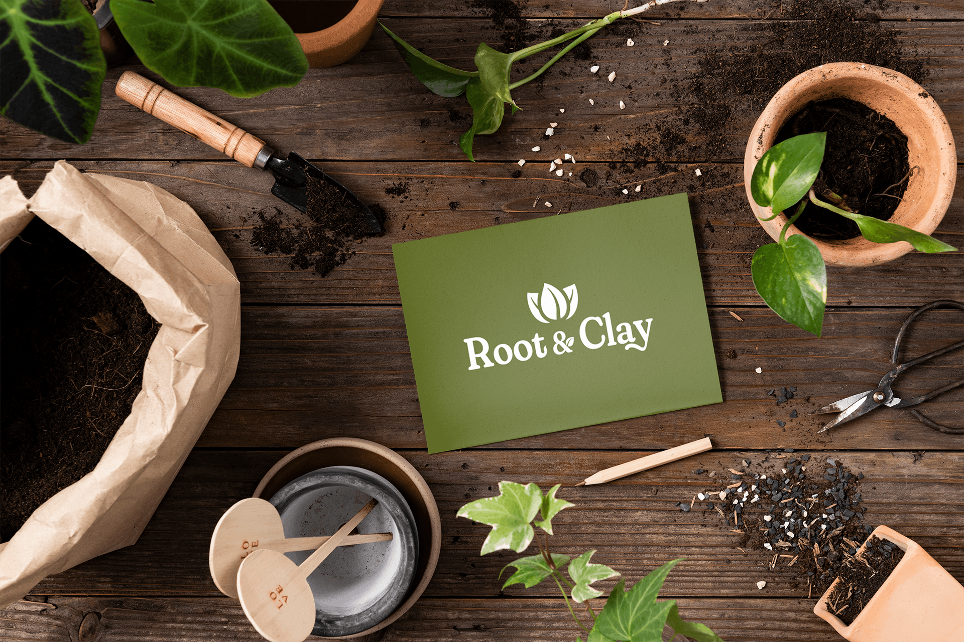 Business card design for Root & Clay.
