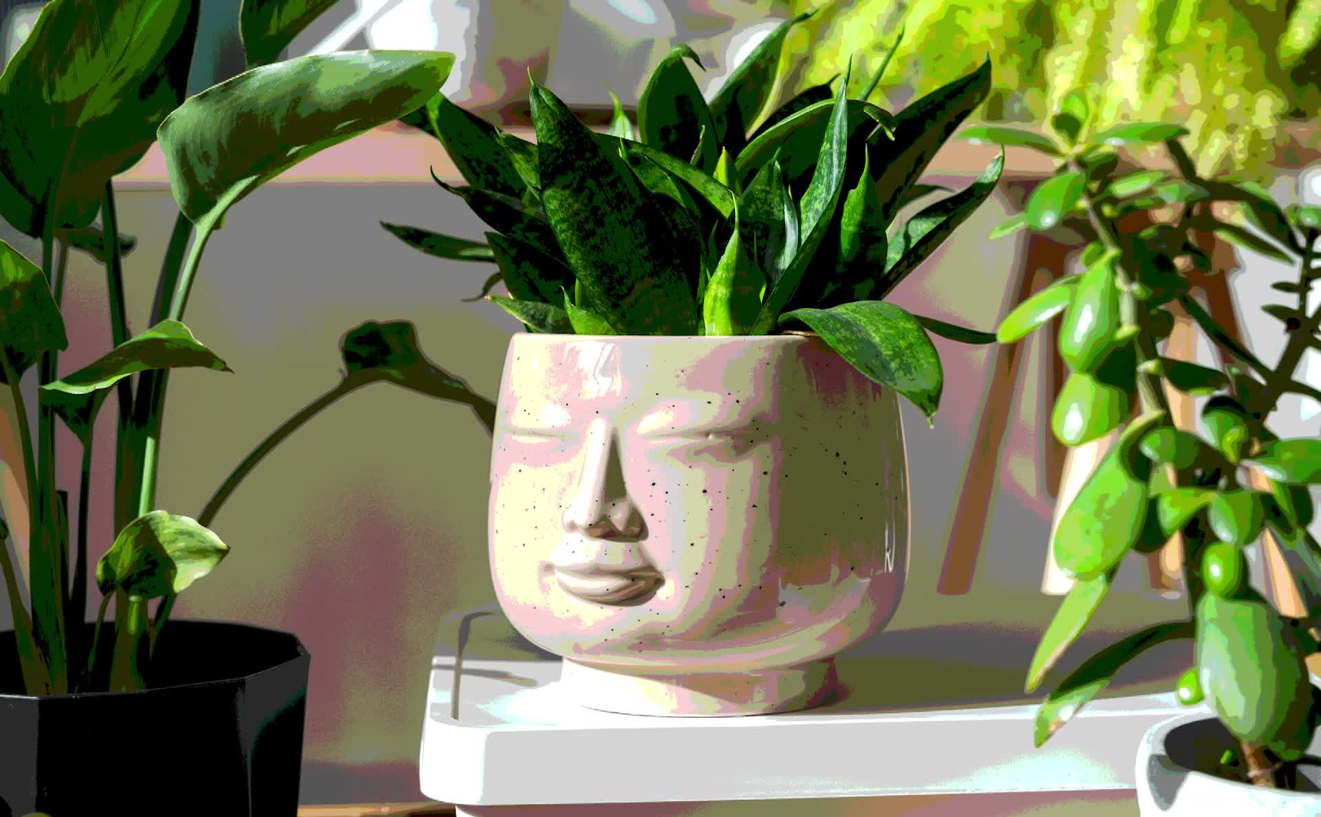 A promotional video for Root & Clay branding.